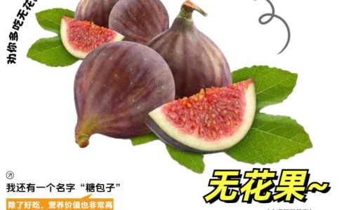 黑米的功效和作用及禁忌-黑米的功效和作用紫米的功效-紫米的功效和作用,中国黑米的功效和作用网站
