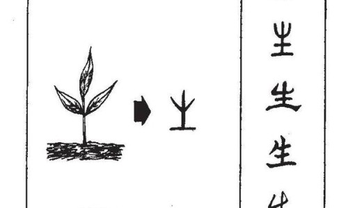 黑米的功效和作用及禁忌-黑米的功效和作用紫米的功效-紫米的功效和作用,中国黑米的功效和作用网站